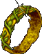 ring.GIF (3848 Byte)